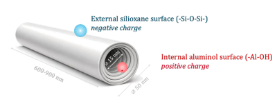 modell of halloysite nano tube with positive outer charche and negative inner charge