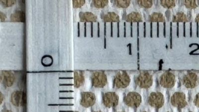 Hydrophilic perforated matrix structure